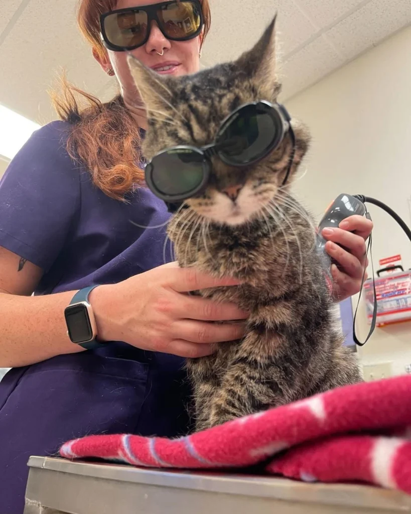 Urgent Care