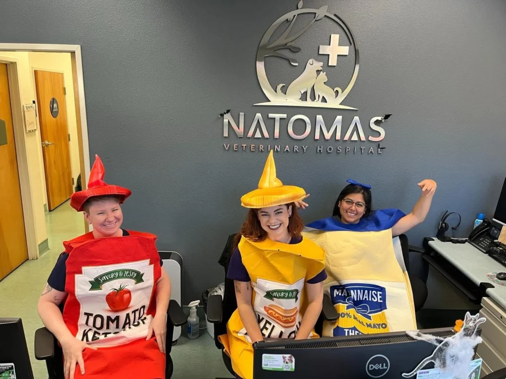 Natomas Veterinary Hospital staff in condiment Halloween costumes at the front desk