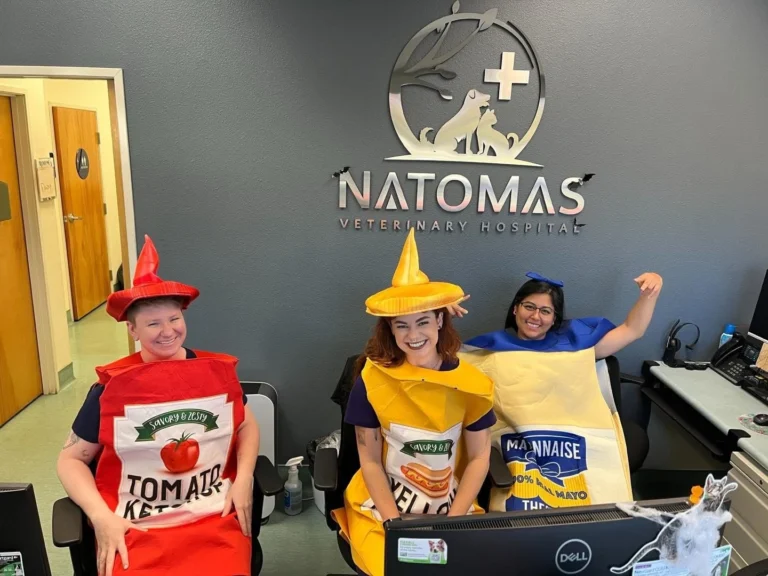 Natomas Veterinary Hospital staff in condiment Halloween costumes at the front desk