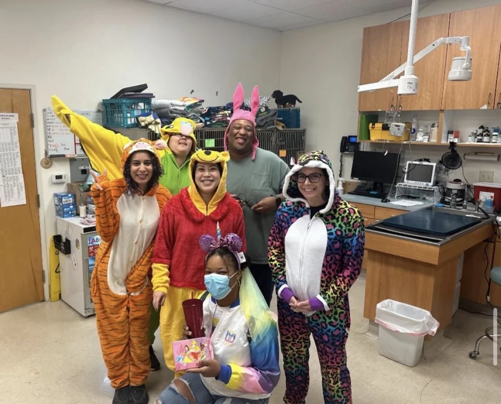 Natomas Veterinary Hospital staff dressed in colorful animal costumes