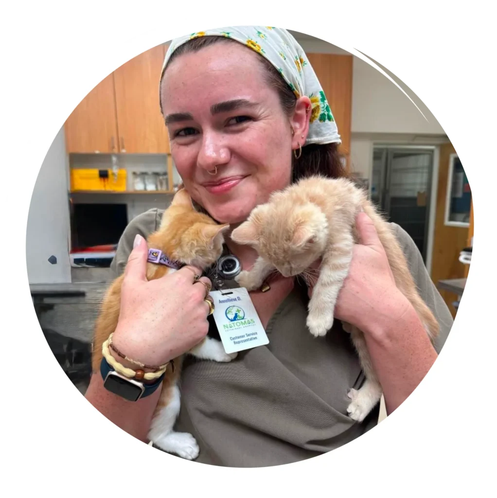 Natomas Veterinary Hospital team member holding two kittens